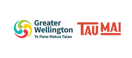 Kaitohutohu Matua Māori | Senior Advisor Māori